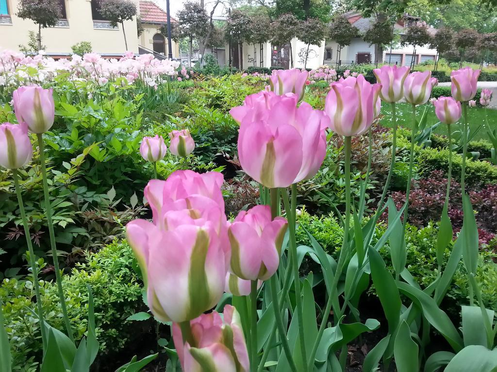 Kierunek Sopot Apartament Pomorski エクステリア 写真
